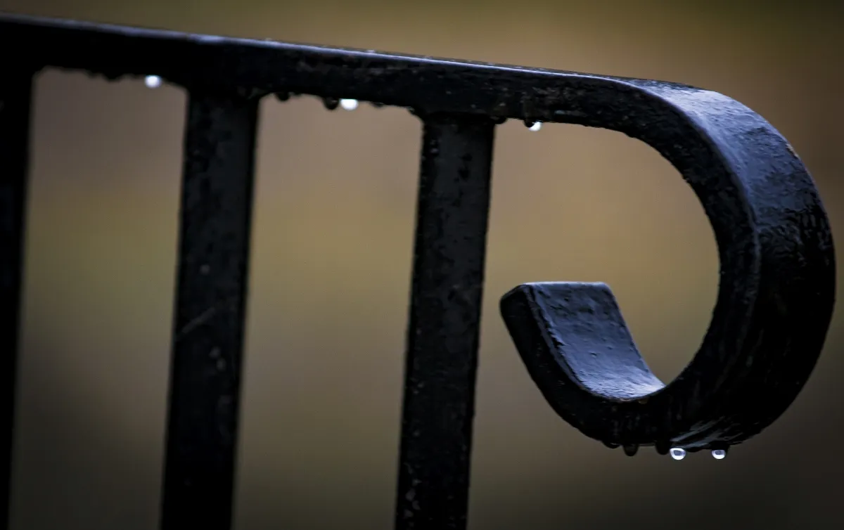 Close-up of a black wrought-iron curl with raindrops against a blurred beige background